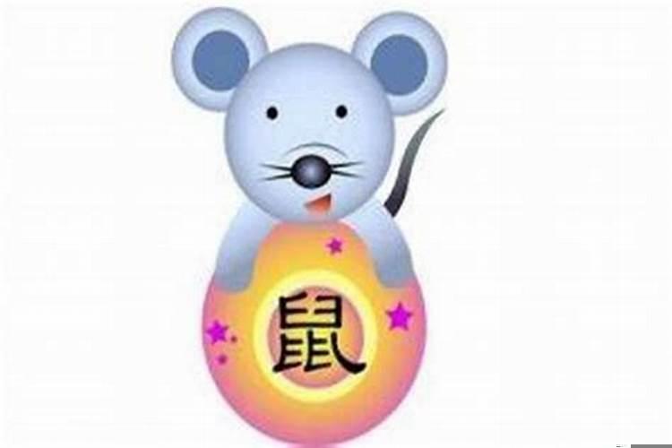 今年生肖鼠运势