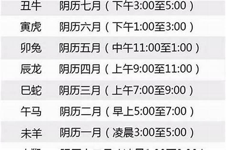 生肖看财运准吗