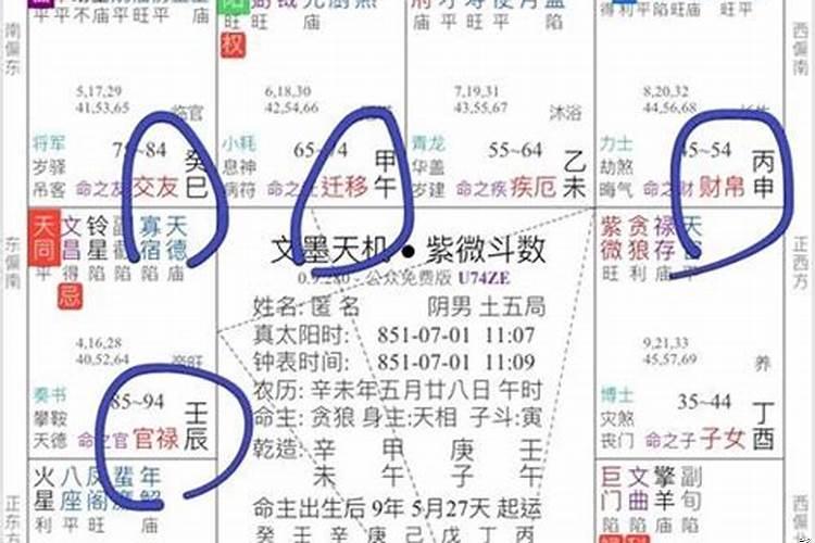 紫微斗数测事业财运