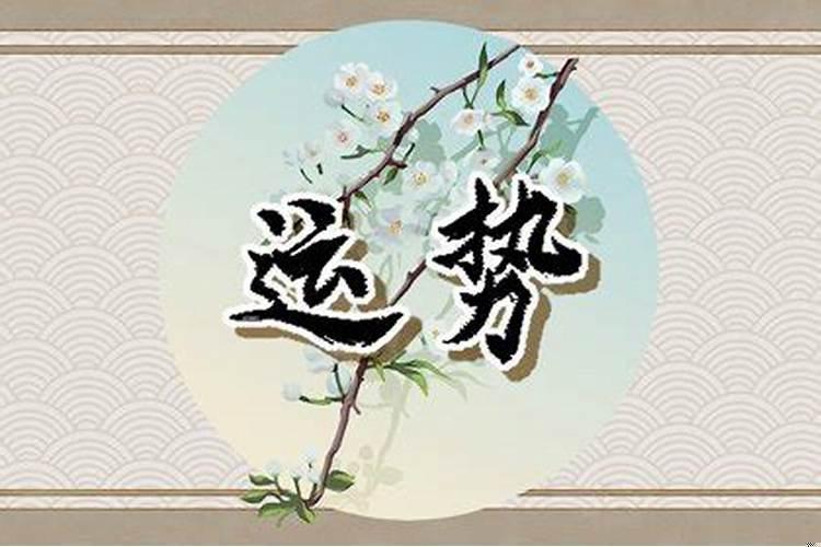 属兔的2022年运势运程