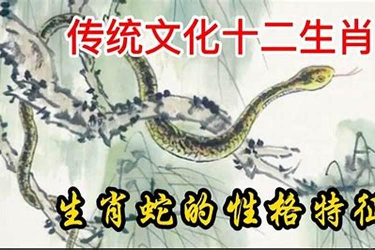 生肖蛇最大的特点是什么意思