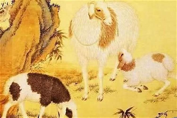 82年属狗何时走大运