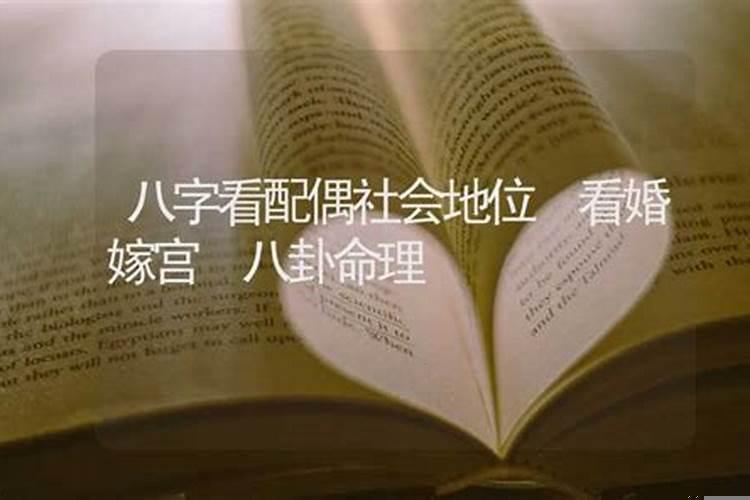 八字看配偶的工作