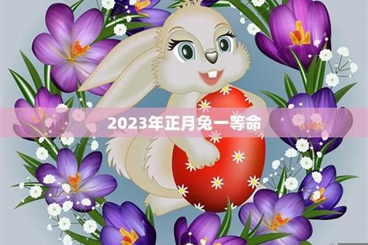 2025兔年
