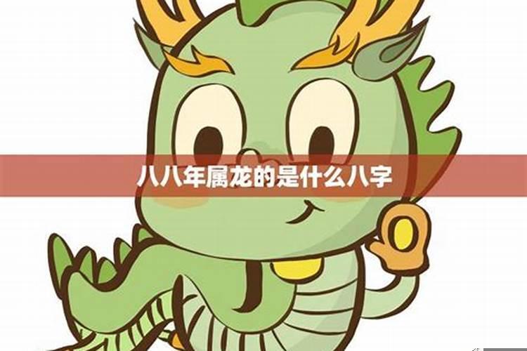 八八年属什么多少岁