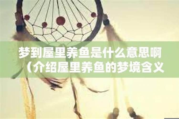 梦见屋里全是鱼和水