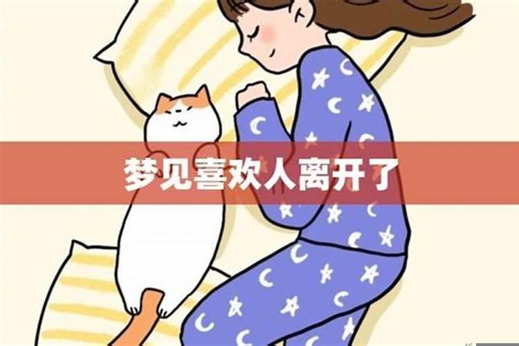梦见我爱的人回来了