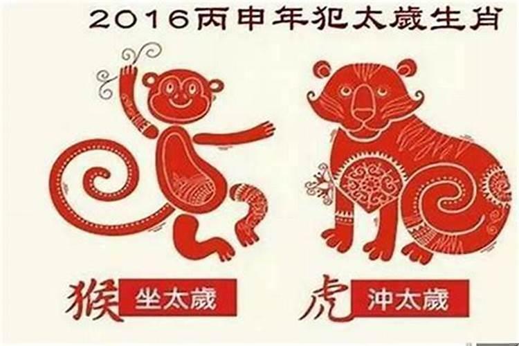 今年属猴和猪犯太岁怎么办