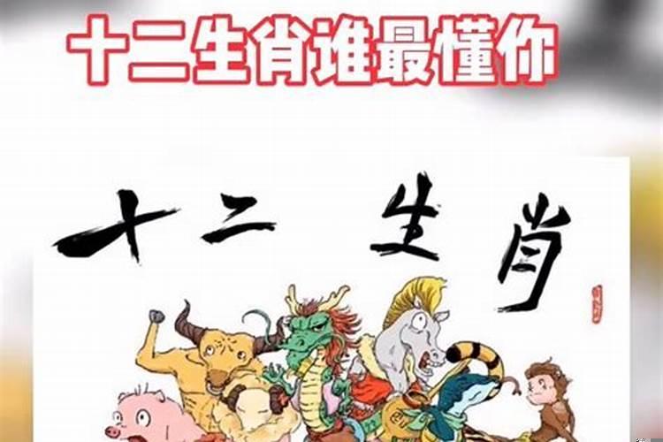 十二生肖富商是哪一个