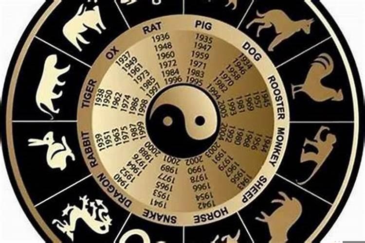 2010年属于什么生肖年