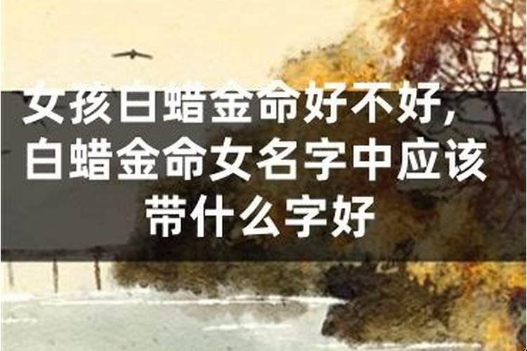 为什么说金命好