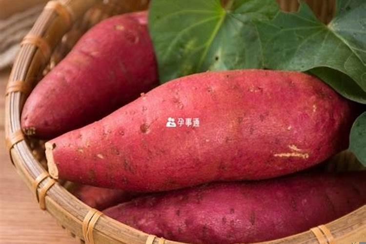 怀孕期间梦见红薯是生男生女