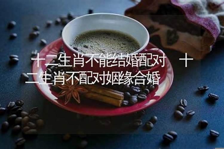 十二生肖不能结婚配对