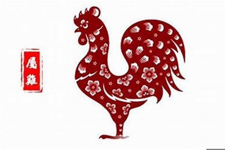 属鸡人在兔年的全年运势