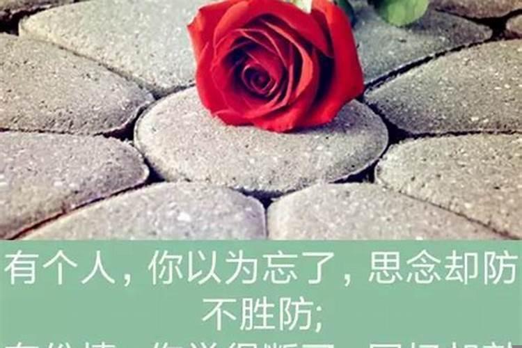 梦见一个人是他在想你吗?