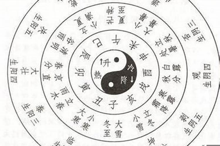 戊寅日柱和什么合