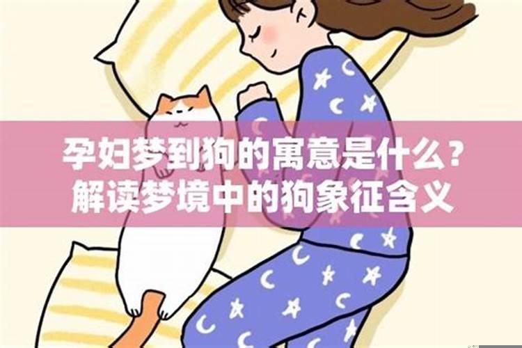 梦见狗是什么寓意呢