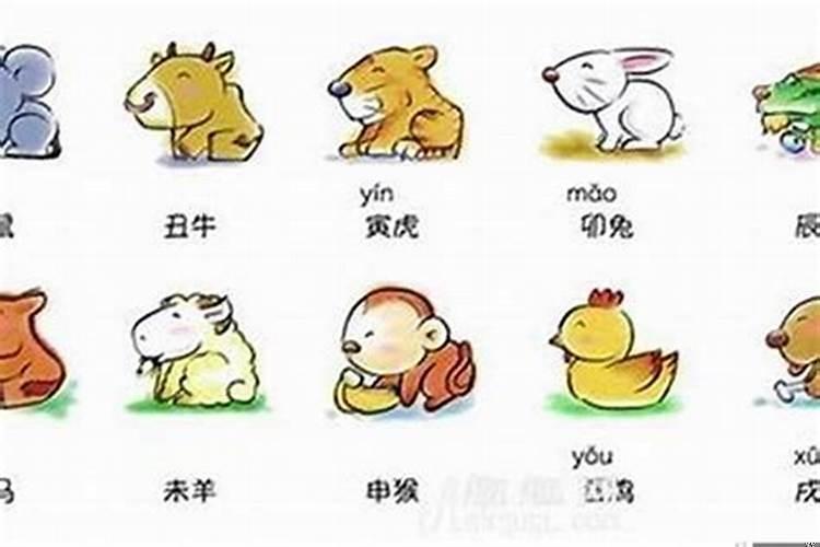 衣食无忧的动物属什么生肖
