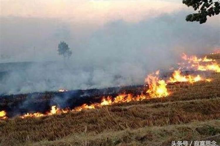 周公解梦梦见坟地里起火什么意思