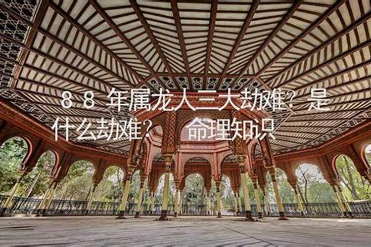 属龙88年33岁劫难是什么