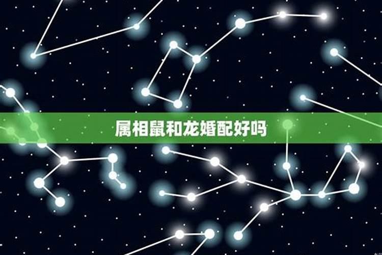 88年属龙男和84年属鼠女合适吗