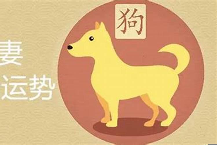 70年狗男和73年牛女婚姻相配吗