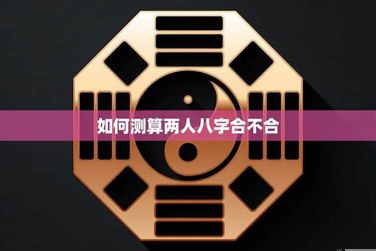 怎么算两个人八字合不合