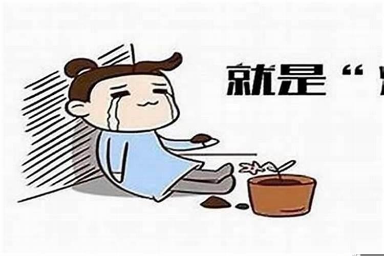 家里突然运气变差