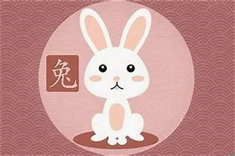 属兔的人什么性格