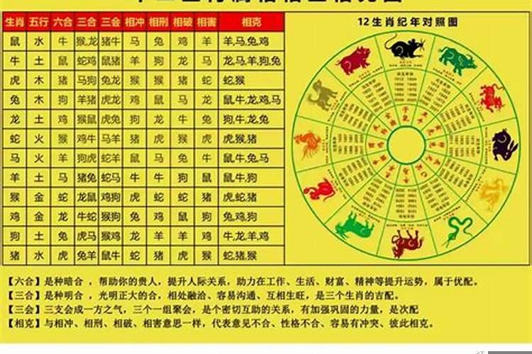 生肖冲害刑克一览表