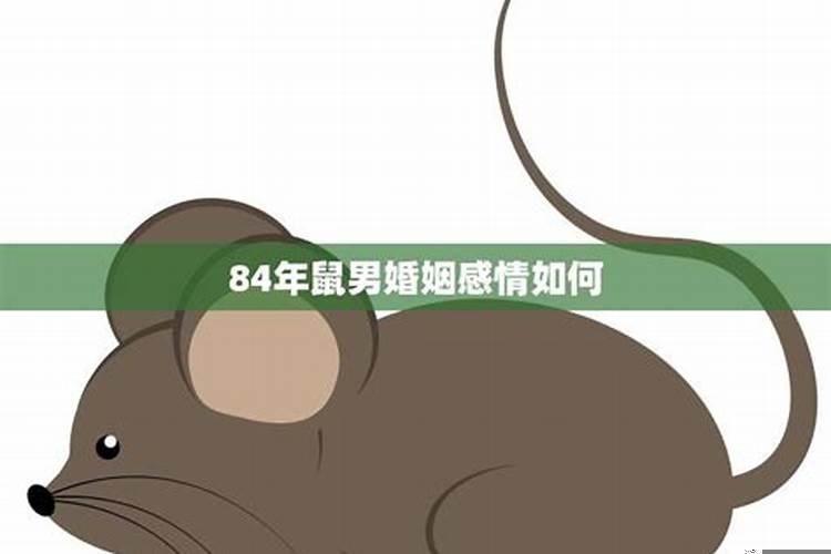 属鼠84年男的婚姻怎么样