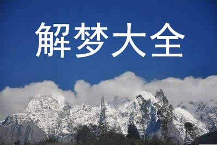 梦见被蟒蛇追着咬伤什么意思
