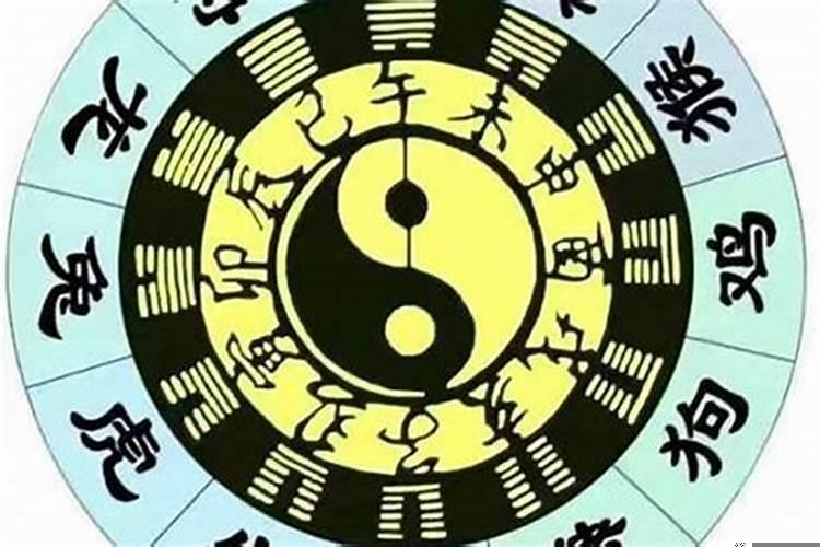 命局地支有三合局