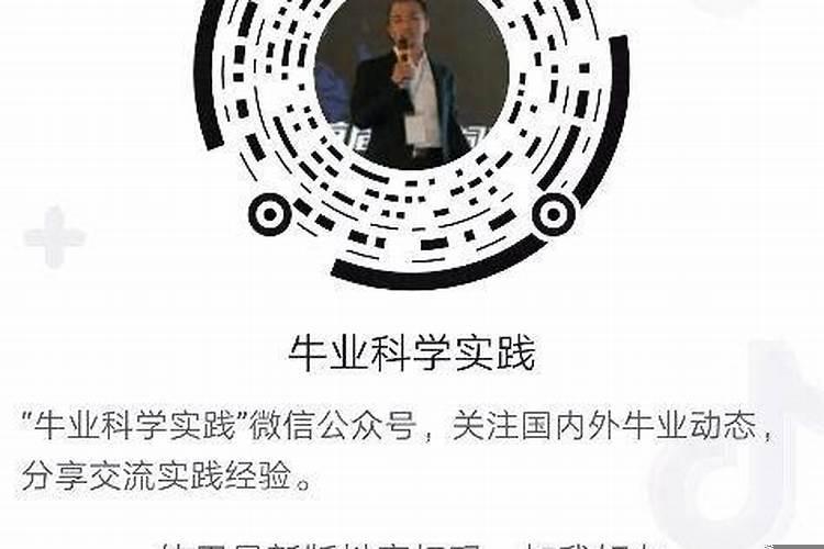 2020年牛市会来吗