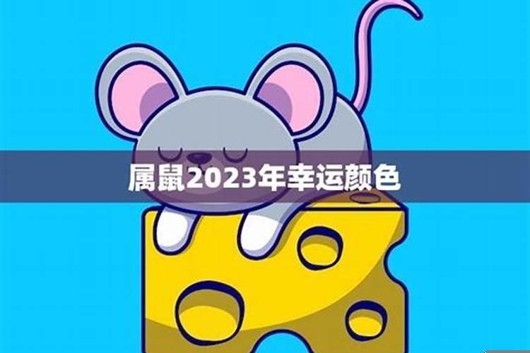 属鼠的适合什么颜色的窗帘
