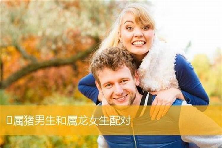 生肖龙的爱情婚姻配对