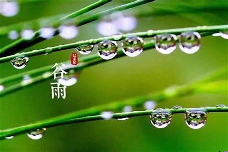 女儿出嫁当天下雨好不好