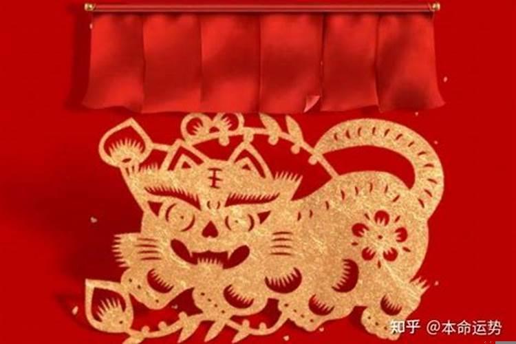 赚钱高手生肖