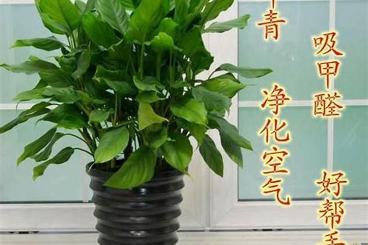 助事业的风水