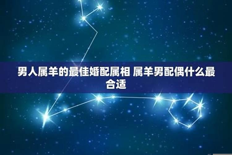 最适合做老公的生肖男