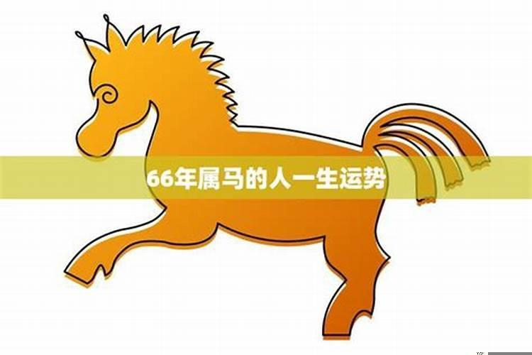 属马人出生时辰和财运