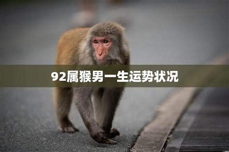92年属猴女一生财运