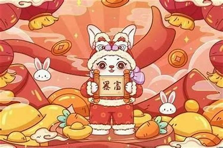 生肖属兔五行属什么
