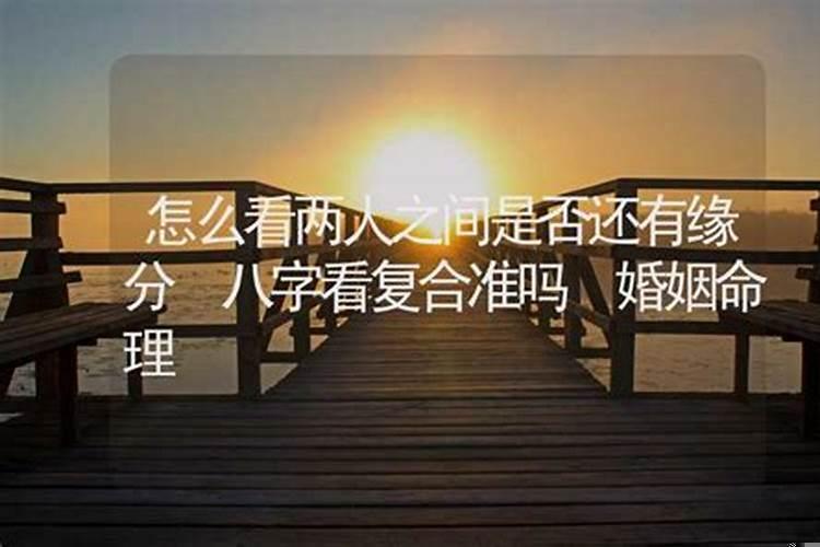 八字看感情复合