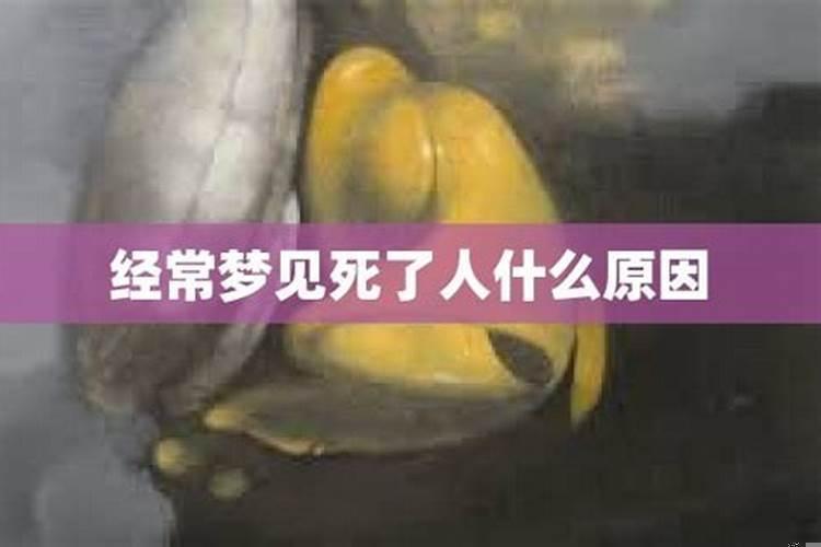 晚上经常梦见死人是什么原因