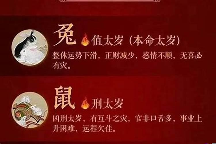 2017年属什么犯太岁