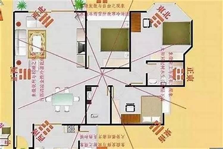 家中的财位适合摆放什么