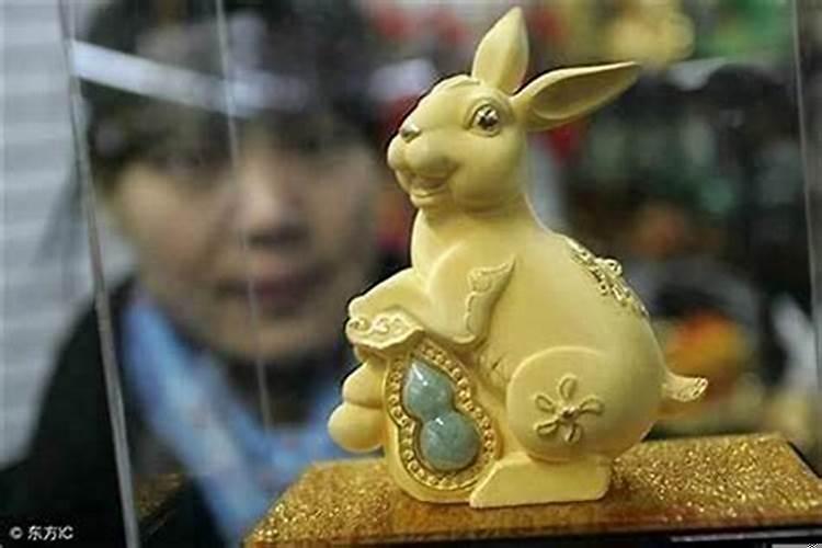 属兔的今年是本命年吗