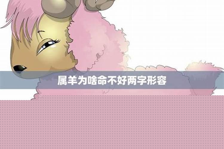 属羊是命不好吗