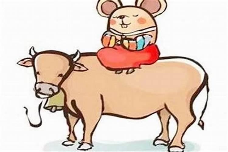 老公属牛，老婆属兔住几楼好呢